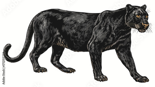 Sleek Panther Vector Illustration with Detailed Outline for Graphic Designers