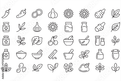 Vector illustration of herbs and natural medicine line icons for cooking and therapy themes