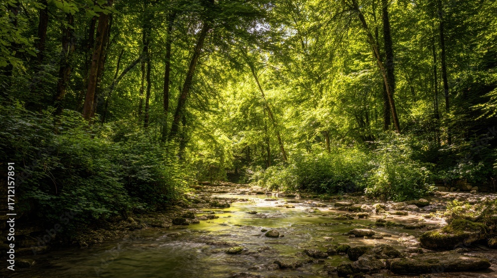 Obraz premium stream. Sunlit forest stream with dappled light reflecting off crystal clear water over rocks. travel magazines, destination branding, designed for travel destination branding, used by researchers.