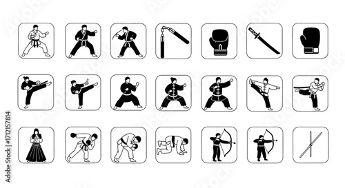 Martial arts icons representing various combat sports and activities.