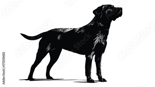 Majestic Standing Black Dog Silhouette on White Background