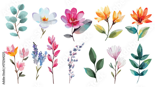 Elegant Hand Drawn Watercolor Wild Flowers Floral Illustration