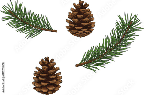 Pine cones and fir branches, evergreen spruce needles, natural forest elements, rustic Christmas decoration, seasonal holiday background, eco woodland nature design