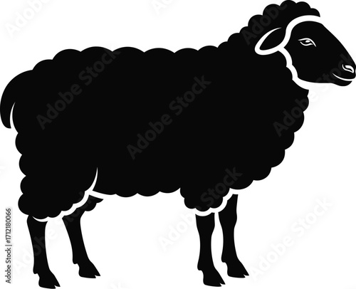 Vector illustration of a black sheep, simple farm animal illustration