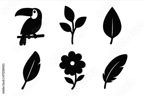Set of black silhouette nature icons. Toucan bird, tropical plant, leaf, exotic flower, and feather designs. Vector cartoon graphic elements for jungle or zoo theme.