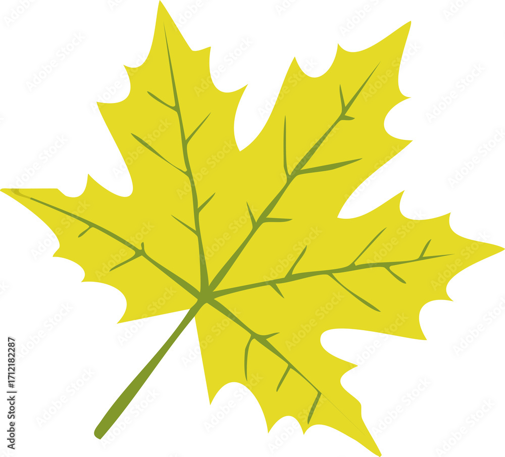 Fototapeta premium Maple Leaves Autumn Foliage Background with Fall Colors