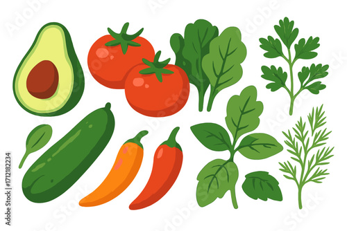 Set of fresh vegetables and herbs vector illustration. Healthy organic food concept. Flat cartoon icons of avocado, tomato, cucumber, chili pepper, spinach, parsley, basil, dill.