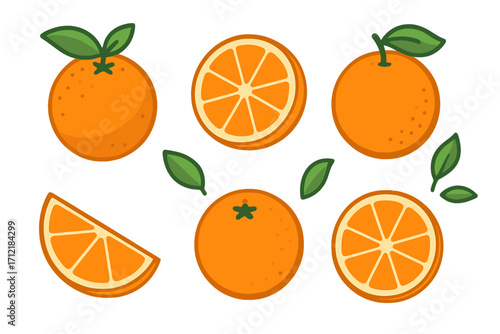 Orange fruit vector illustration featuring whole oranges, orange slices, wedges, and fresh green leaves in vibrant flat cartoon style for creative design projects