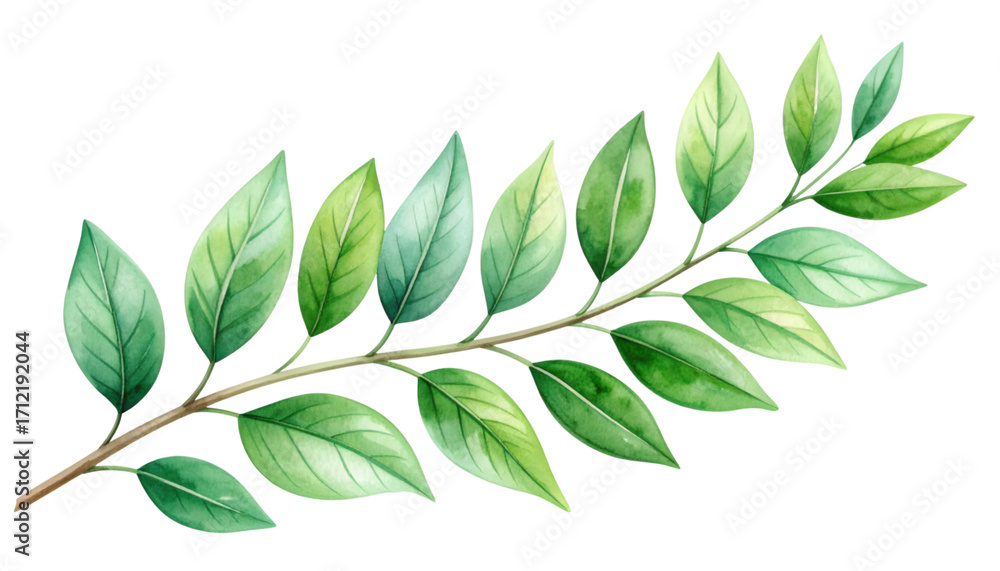Fototapeta premium Watercolor Leafy Branch: A delicate watercolor illustration of a verdant branch, showcasing the intricate veins and varied hues of its leaves, evoking a sense of serenity and natural beauty.