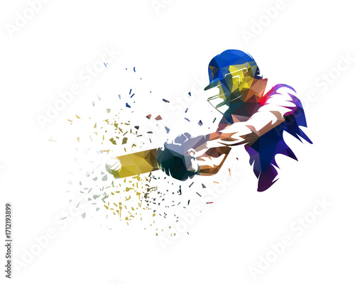 Cricket player, batter hitting ball, isolated low polygonal vector illustration with distortion effect. Sports clipart