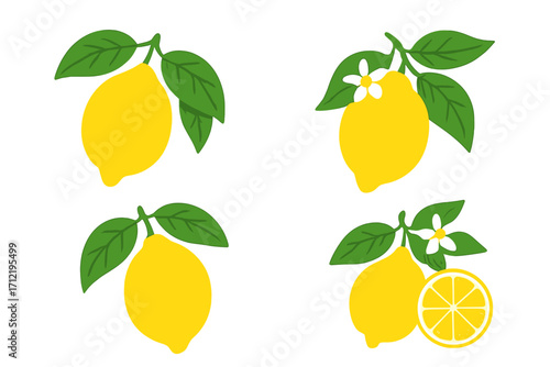 Lemon fruit set with leaves, flowers. Vector illustration of fresh citrus. Sliced and whole lemons. Juicy yellow fruit collection for lemonade, healthy food and drink concepts.