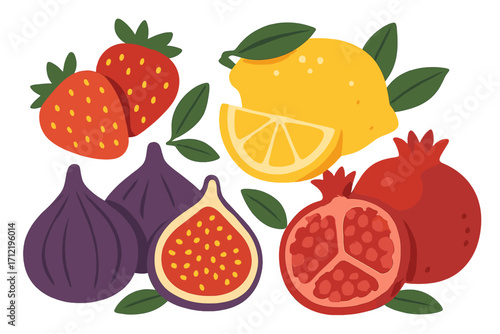 Fruit collection vector flat illustration. Set of fresh strawberry, lemon, fig, pomegranate. Healthy food concept. Organic summer fruits for diet, juice, vegan menu, jam label.