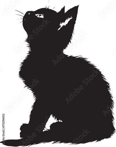 Curious black kitten gazes upward with bright eyes