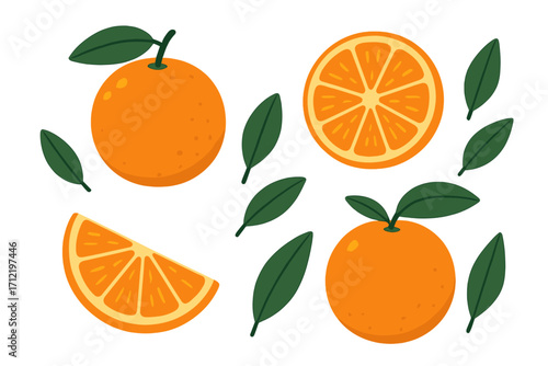 Orange fruit vector illustration set. Fresh citrus collection with whole fruit, slice, and wedge. Flat design cartoon style for organic food, healthy juice concepts.
