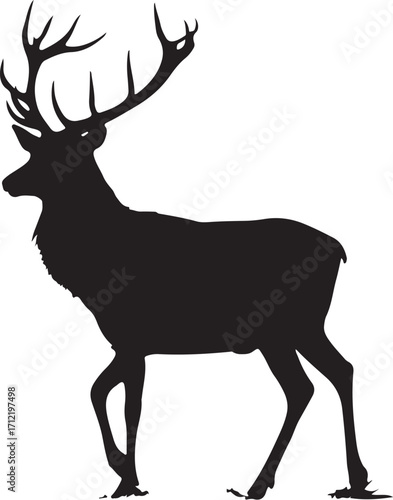 Majestic stag silhouette walking proudly in nature