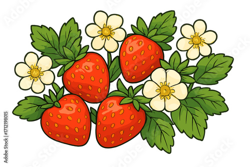 Strawberry fruit vector with flowers and leaves. Fresh sweet organic berry. Summer garden harvest. Botanical cartoon illustration for food, juice pack, or healthy recipe.