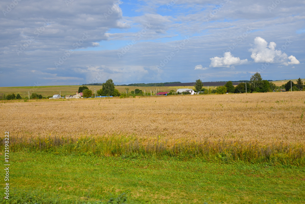 Fototapeta premium Rural houses surrounded by endless wheat fields, Russia