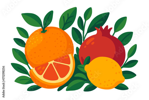Citrus fruit vector illustration with orange, lemon, and pomegranate. Fresh juicy fruits for healthy eating, diet, and juice menus. Summer food concept with a flat cartoon design.