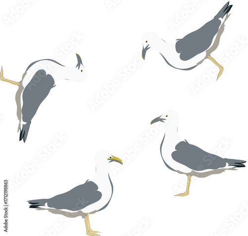 Seagull pattern can be used as textile and wallpaper.
