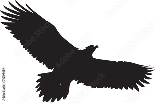 Majestic eagle soaring across open sky, powerful flight