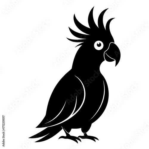 Cockatoo vector clean black silhouette design white background