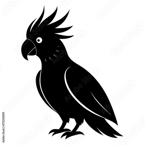 Cockatoo vector clean black silhouette design white background