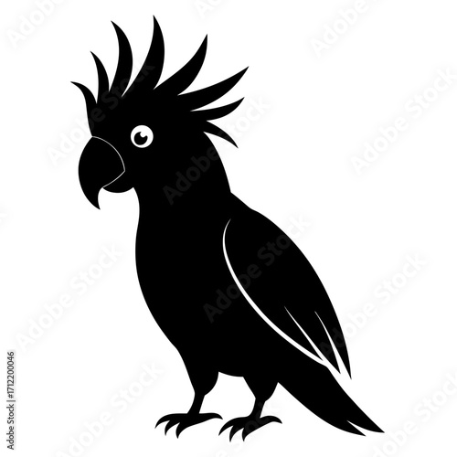 Cockatoo vector clean black silhouette design white background