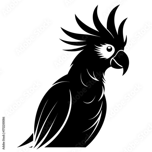Cockatoo vector clean black silhouette design white background