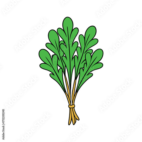 Decorative Kelp Bouquet With Overlapping Stalks Vector Art Illustration