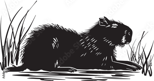 Capybara resting peacefully by the water's edge