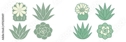 Green desert plants with flowering cactus and succulent varieties