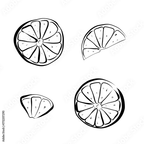 Line art illustration of Mexican food - lemon and lime.