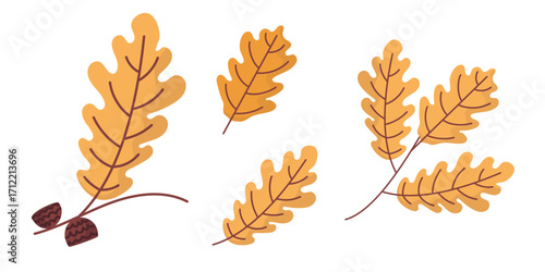 Yellow autumn oak leaves in different sizes. Collection of yellow oak leaves in various sizes, isolated on white background, perfect for seasonal design, collage, and illustration.