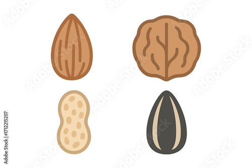 Diverse assortment of healthy nuts and seeds, featuring almond, walnut, peanut, and sunflower seed varieties