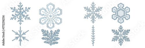 Diverse collection of intricate winter snowflake designs showcasing unique crystal patterns and cold weather symbols for seasonal themes and festive decorations