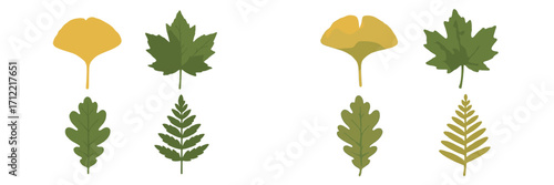 Botanical elements featuring ginkgo, maple, oak, and fern leaves in natural green and yellow hues, representing diverse plant species