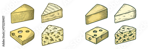 Assortment of various cheese types including Swiss, Brie, Cheddar, and Blue cheese in a classic hand-drawn style