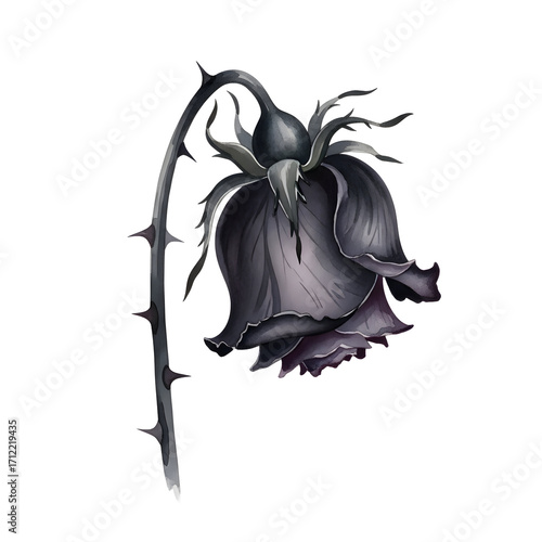 A single withered black rose with thorns.