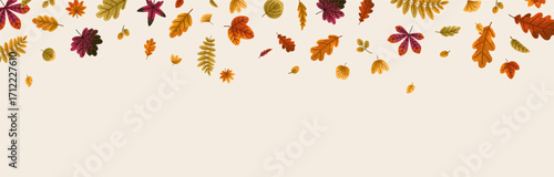 Fall leaves falling down, horizontal background. Autumn leaf flying, seasonal...