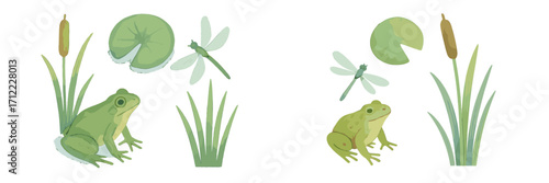 Pond life elements with green frog, blue dragonfly, lily pad, and cattail plants on white background