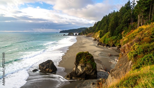 Pacific coastline with sandy beach, dramatic rock formations, and lush forest