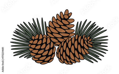 Three pine cones with pine needles illustration on white background
