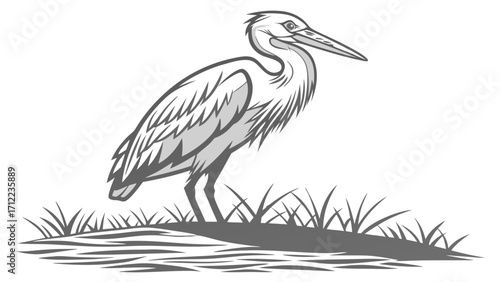 Gray heron illustration wading bird wetland animal nature wildlife vector art graphic design bird silhouette avian fauna water bird elegant bird zoology ornithology feathered creatu.