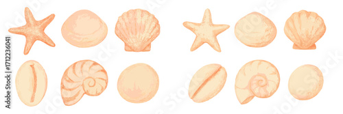 Diverse marine seashells and starfish in natural earthy tones, various shapes and textures, isolated on white background