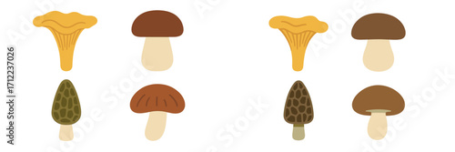 Diverse collection of edible wild mushrooms including chanterelle, porcini, and morel varieties depicted in flat design style
