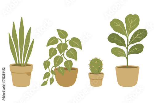 Assortment of popular green houseplants including snake plant, trailing vine, cactus, and broad-leaf plant in terracotta pots