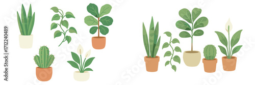 Assortment of various green potted houseplants including snake plant, cactus, and peace lily for home decor