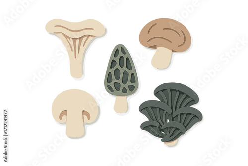 Diverse edible fungi in modern paper cut style with layered shapes and subtle shadows on white background
