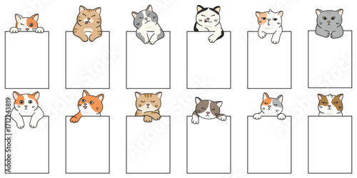 Set of 12 cute cartoon cats peeking out from blank signs. Adorable  kittens with different colors and expressions – perfect for stickers, cards, planners, scrapbooking. Vector style.