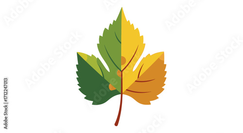 Stylized autumn leaf changing color from green to yellow.